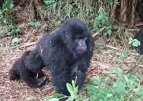 turistipercaso africa-natura-vtupv