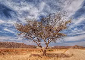turistipercaso africa-natura-wjc9a