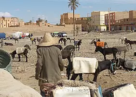 turistipercaso africa-qcqwa
