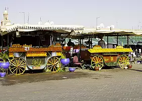 turistipercaso africa-s2aam