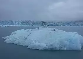 turistipercaso alaska-mec3f