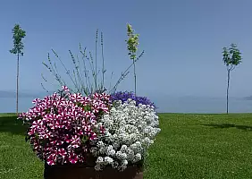 turistipercaso albania-f1d7u