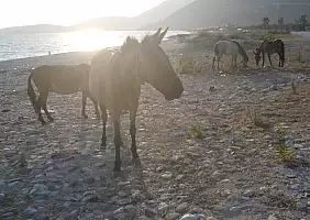turistipercaso albania-mhjtp