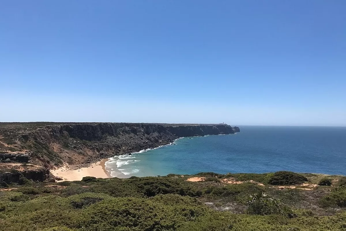 Rota vicentina