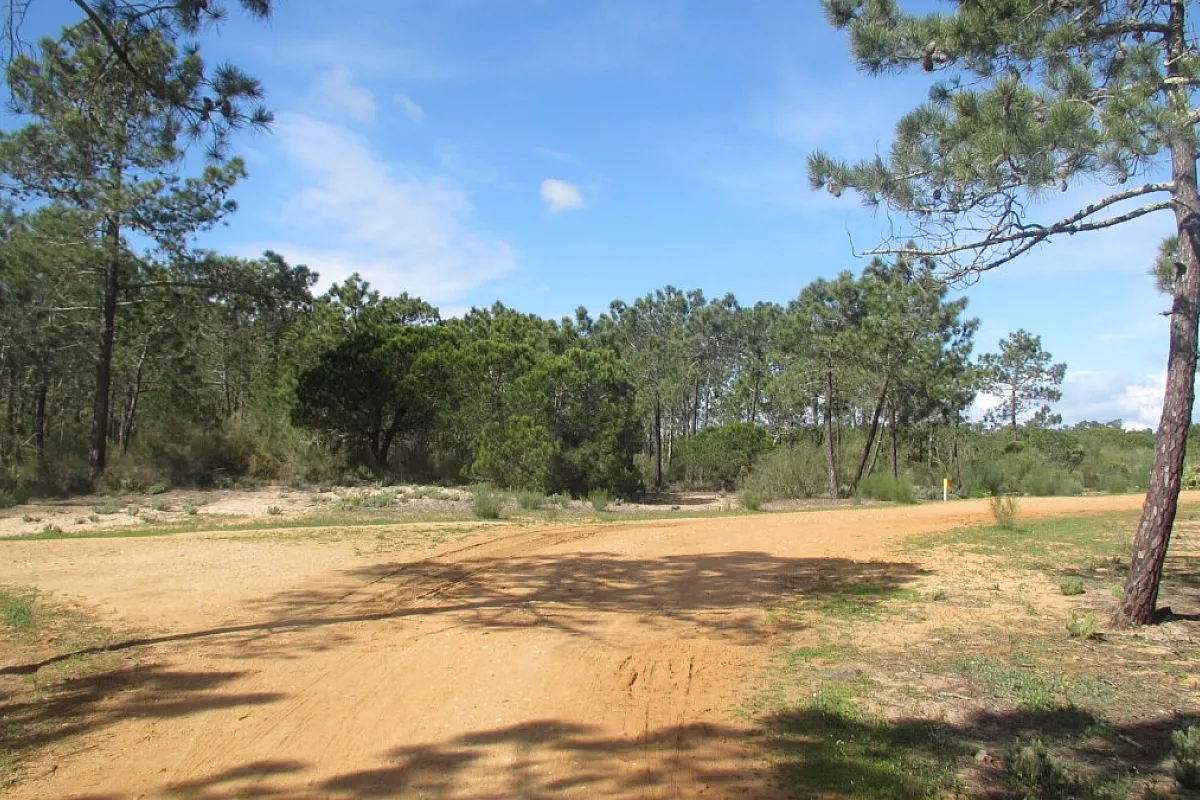 Dalla storia di Siviglia alla quiete di Monte Gordo, piccola frazione dell'Algarve