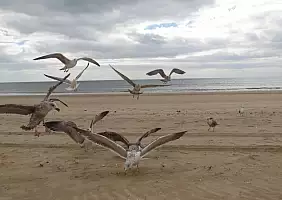 turistipercaso algarve-psd2b