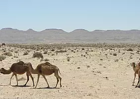 turistipercaso algeria-jhb1w