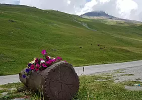 turistipercaso alpi-wnfe5