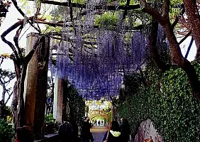turistipercaso amalfi-wtq9q