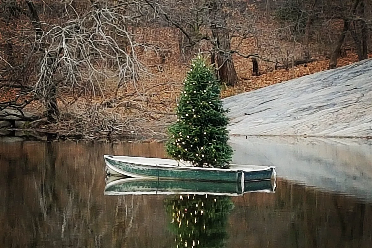 Christmas in Central Park