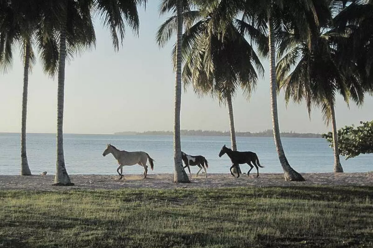 Playa Larga