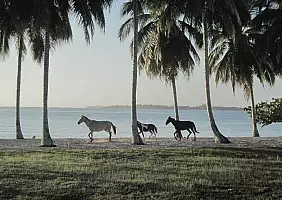 turistipercaso anchon-8v6au