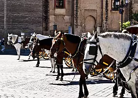 turistipercaso andalusia-mwd4m