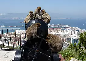 turistipercaso andalusia-sqayq