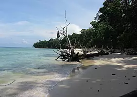 turistipercaso andaman-and-nicobar-islands-d5uud