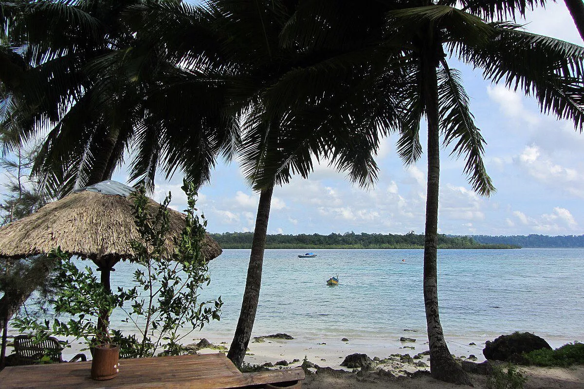 Havelock - Eco Palm Beach
