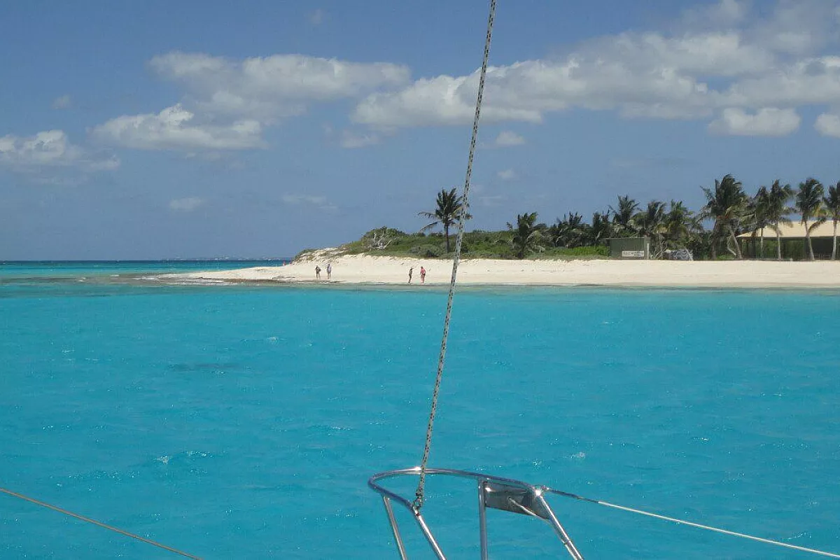 Anguilla - Prickly Pear
