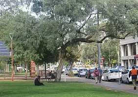 turistipercaso animali-3qgma