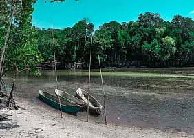 turistipercaso animali-s77r1