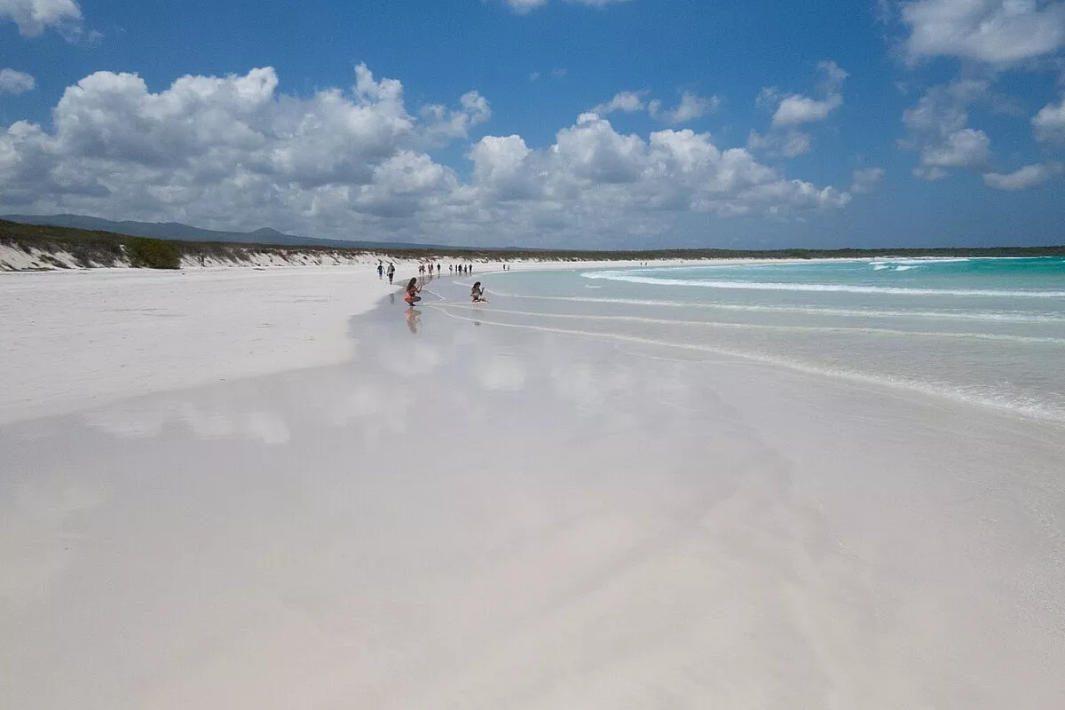 Tortuga Bay