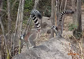 turistipercaso antananarivo-region-phn4p