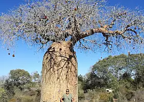 turistipercaso antananarivo-region-x2ve8