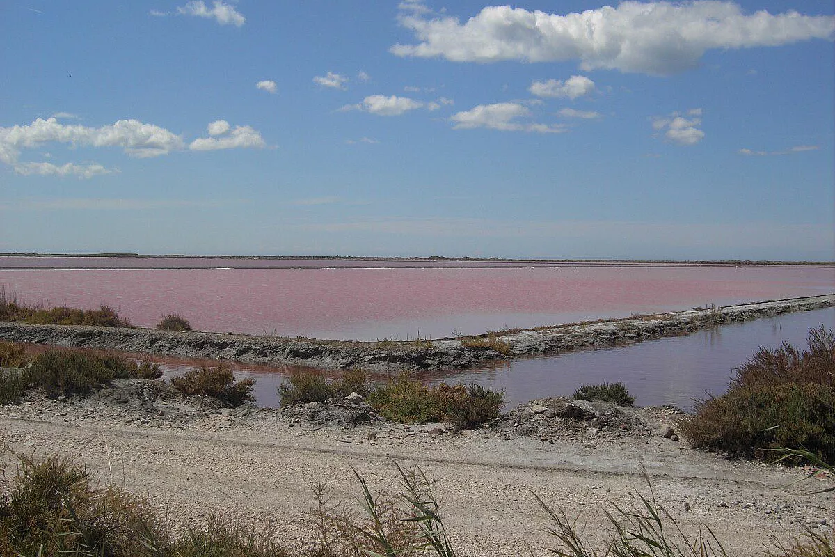 Le salin de Giraud