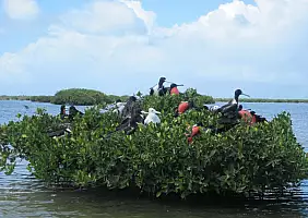 turistipercaso antigua-e-barbuda-nz7mj