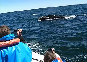 turistipercaso argentina-2ftsd
