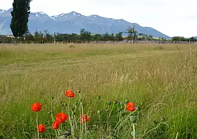 turistipercaso argentina-6ry2j