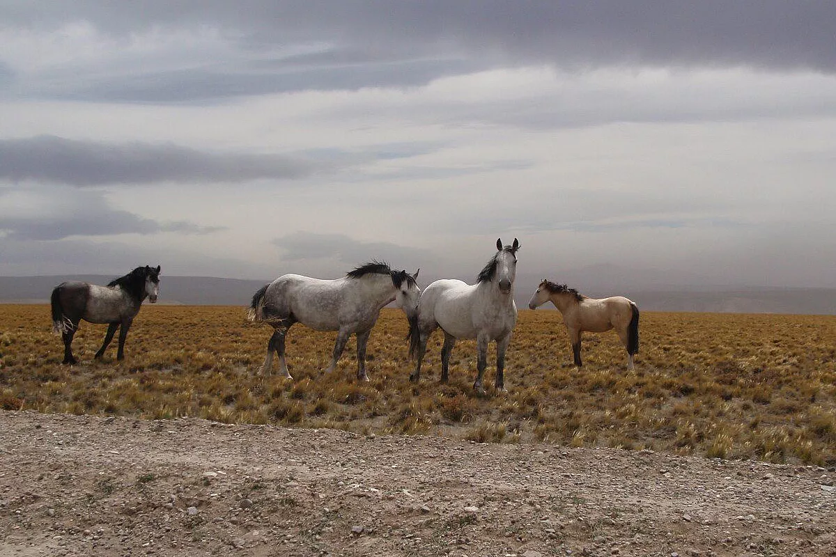 Avventura in Patagonia