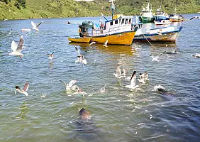 turistipercaso argentina-natura-tgun3