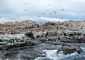 turistipercaso argentina-patagonia-e-tierra-avnvs