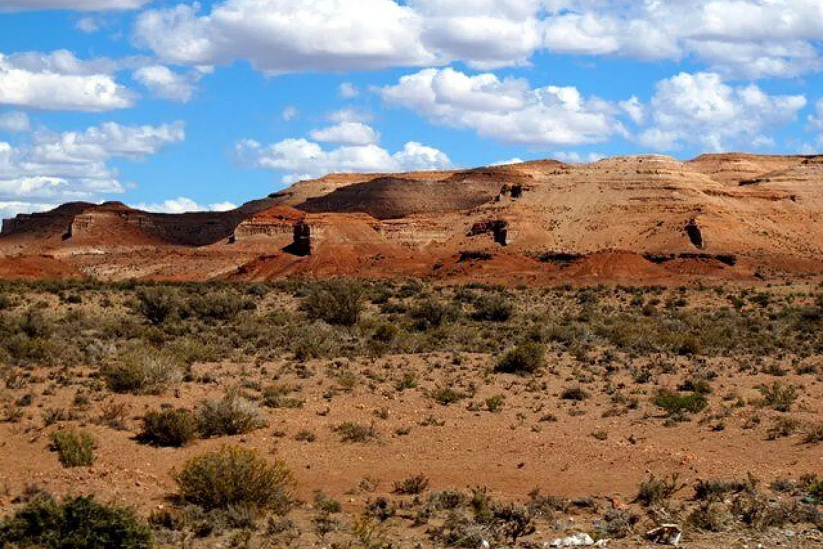 Ruta nacional 25