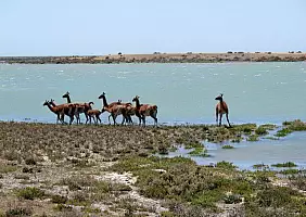 turistipercaso argentina-patagonia-e-tierra-hfq1j