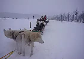 turistipercaso argentina-safpa