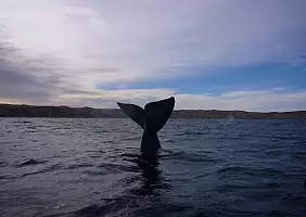 turistipercaso argentina-zajur