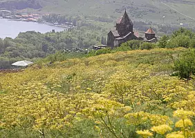 turistipercaso armenia-pmms9