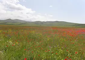 turistipercaso armenia-u6xn7
