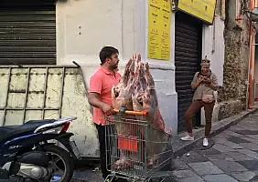 turistipercaso arte-u32qc