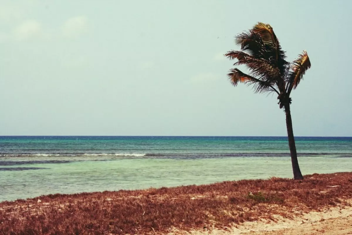 Aruba 2
