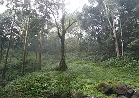 turistipercaso arusha-3nya7