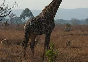 turistipercaso arusha-3zxqy
