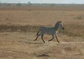 turistipercaso arusha-5tbu8