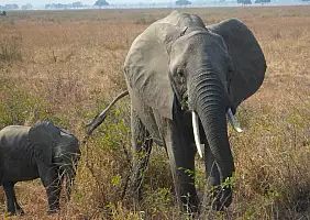 turistipercaso arusha-6h2tc