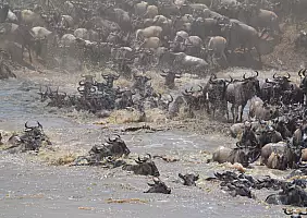 turistipercaso arusha-grqzd