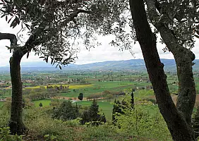 turistipercaso assisi-cdaud