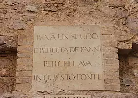 turistipercaso assisi-n9m64