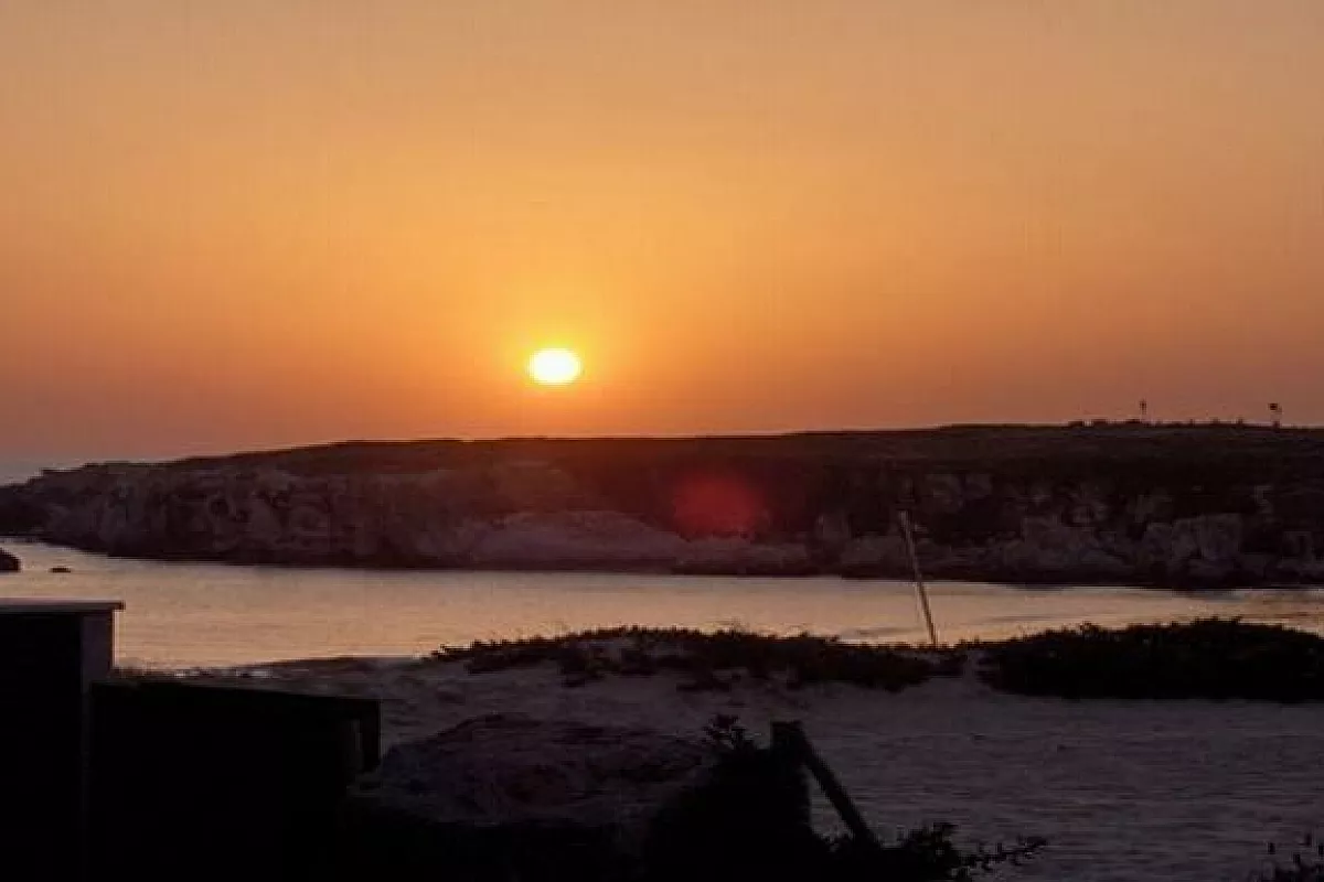 Portogallo, nel segno del surf