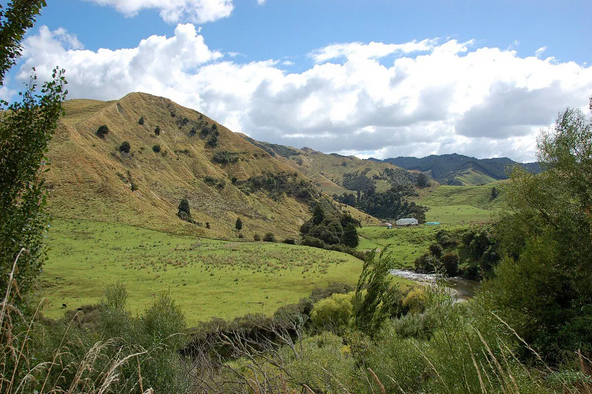 Nuova Zelanda - Le isole del giorno dopo